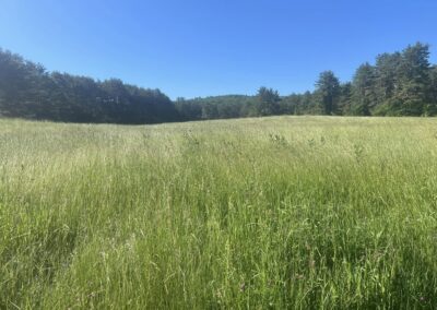 Freshly baled hay in the fields at Rockwall Acres Farm ready for livestock feeding