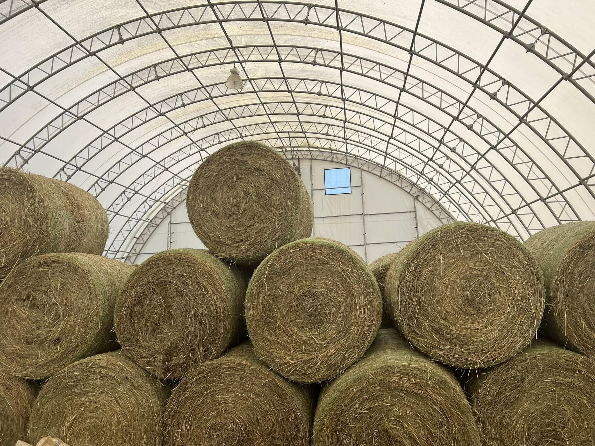Haying Freshly baled hay in the fields at Rockwall Acres Farm ready for livestock feeding