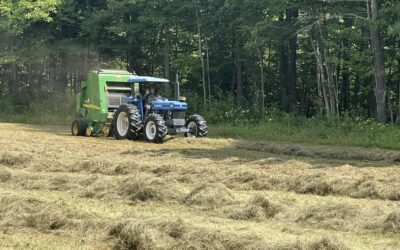 Round Bales vs. Square Bales
