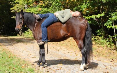 Owning a Horse: The Bond Beyond the Saddle