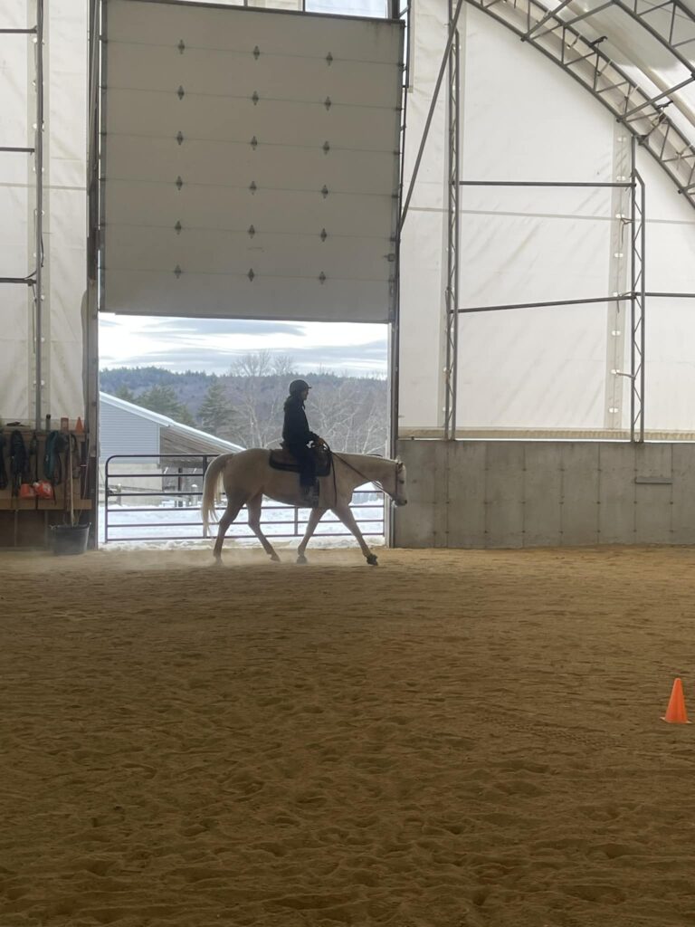 Mandy May barbie dream horse.