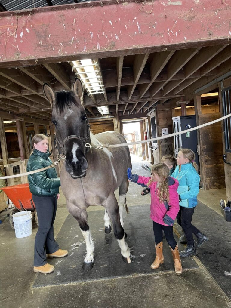 Small Town Horsemanship Horse Camp taught horse care, groundwork, tack maintenance, and riding, building skills, confidence, and responsibility in young riders.
